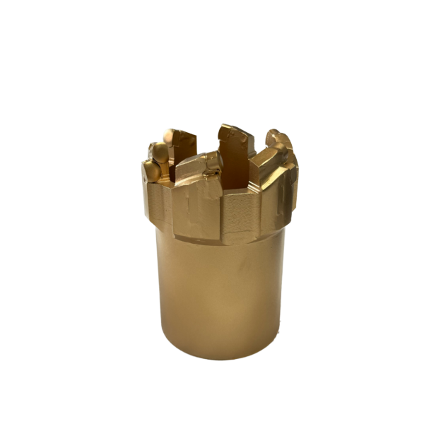 Ribbed Core Bit